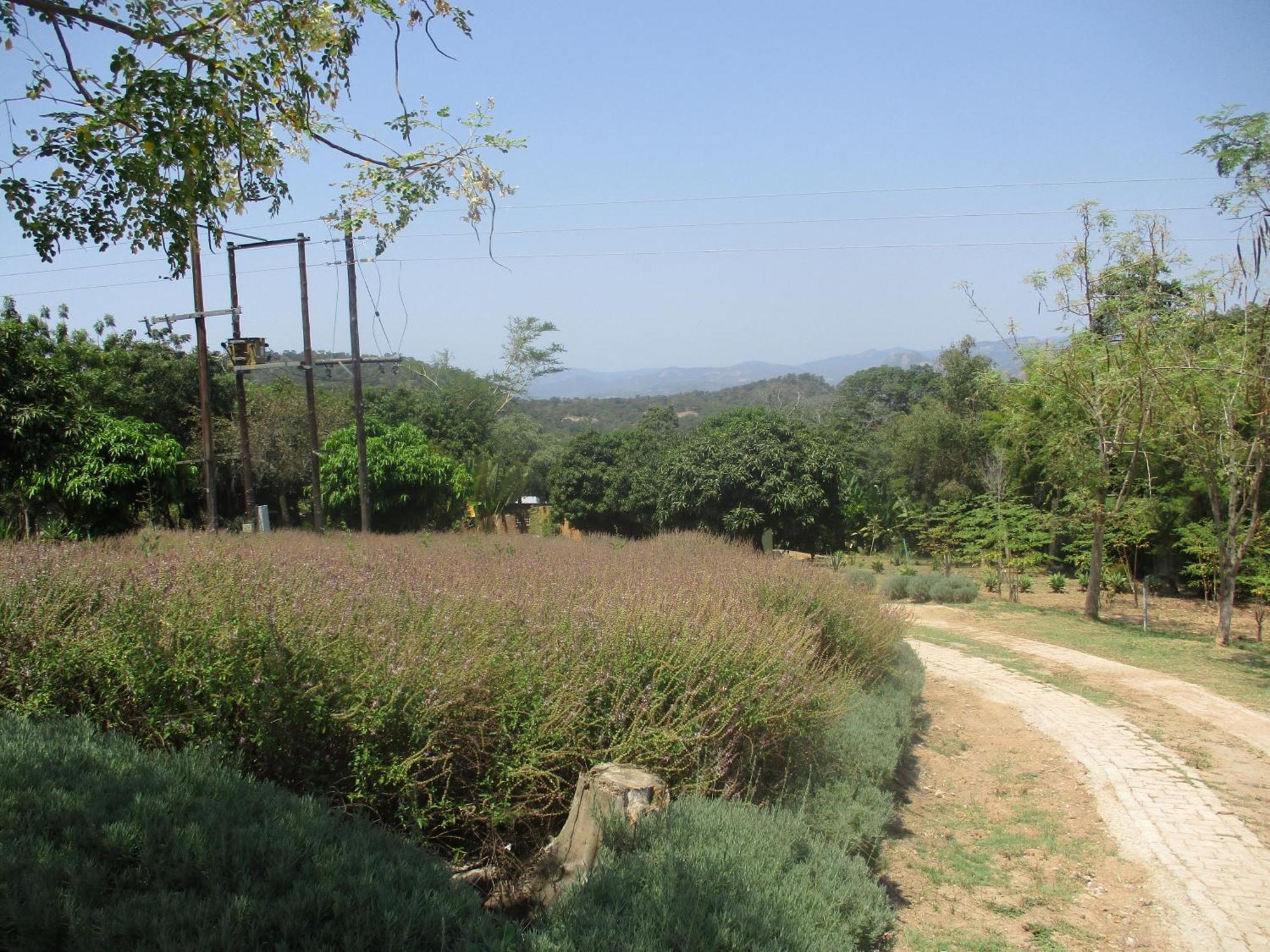 Leopard Tree Retreat Villa Mbombela Dış mekan fotoğraf