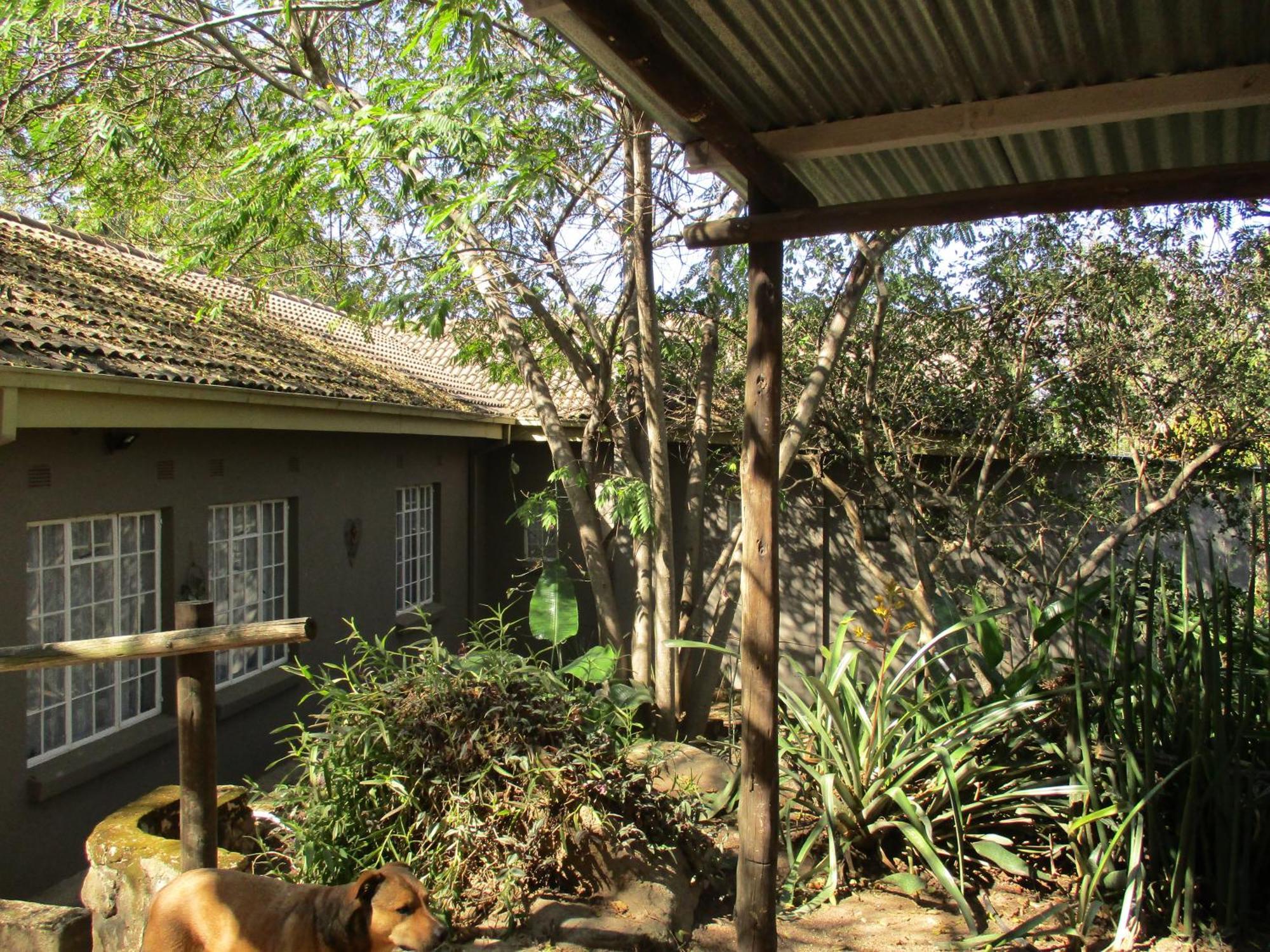Leopard Tree Retreat Villa Mbombela Dış mekan fotoğraf