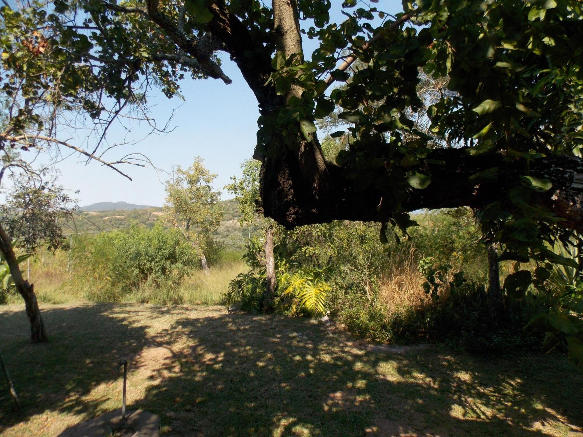 Leopard Tree Retreat Villa Mbombela Dış mekan fotoğraf